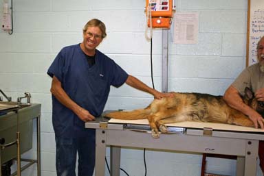 Babby 35 yrs experience